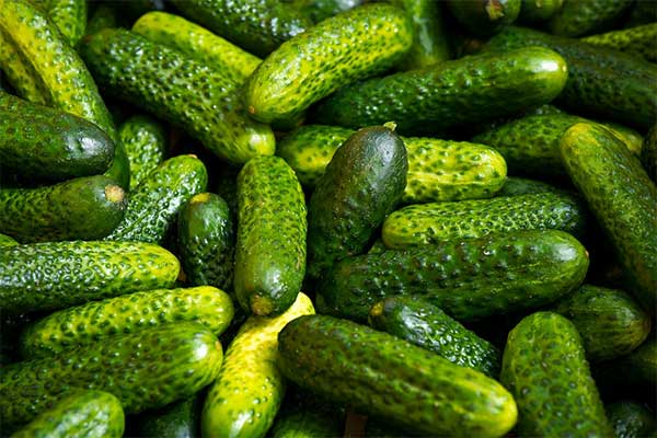 Gherkin vs Pickle：有什么区别？