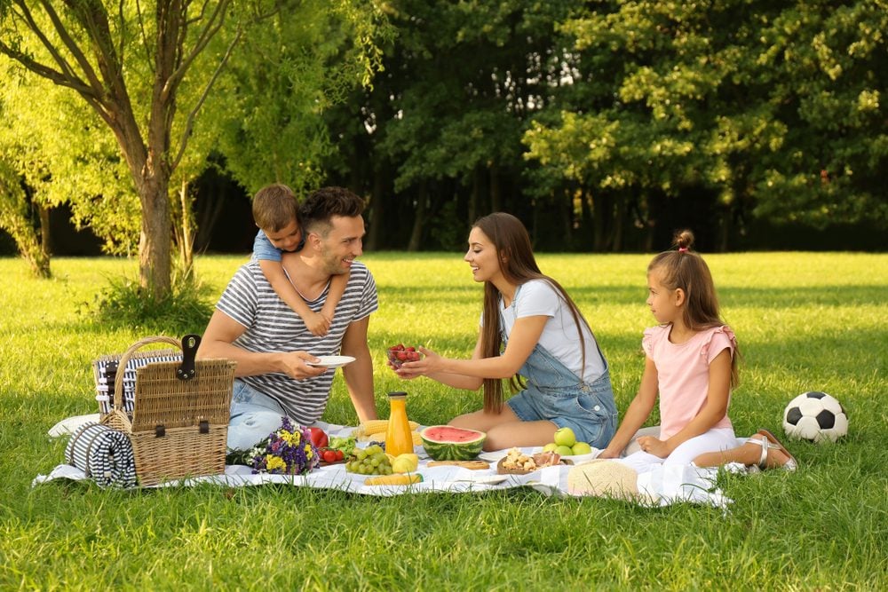 阳光明媚的夏日，幸福的一家人在公园野餐